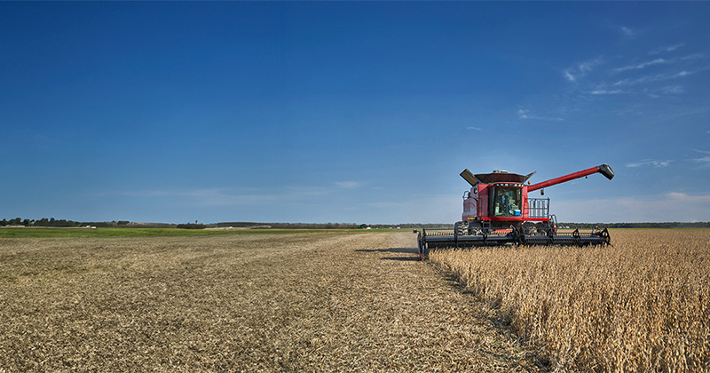 National Biodiesel Day: Industry Celebrates Feedstock Innovation