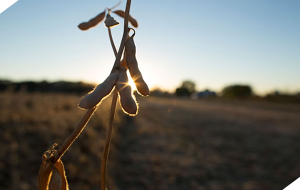 Clean Fuels Welcomes Final Determination in “Sunset” Review of Duties on Biodiesel from Argentina and Indonesia